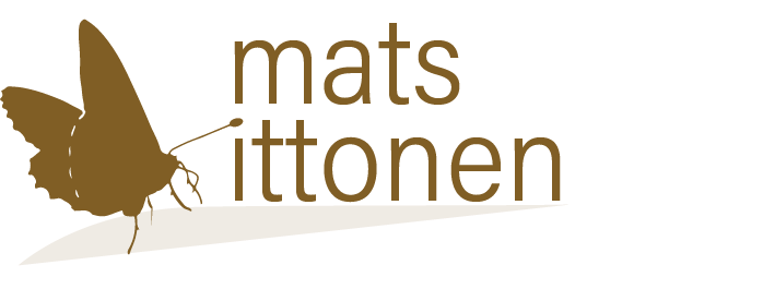 Mats Ittonen