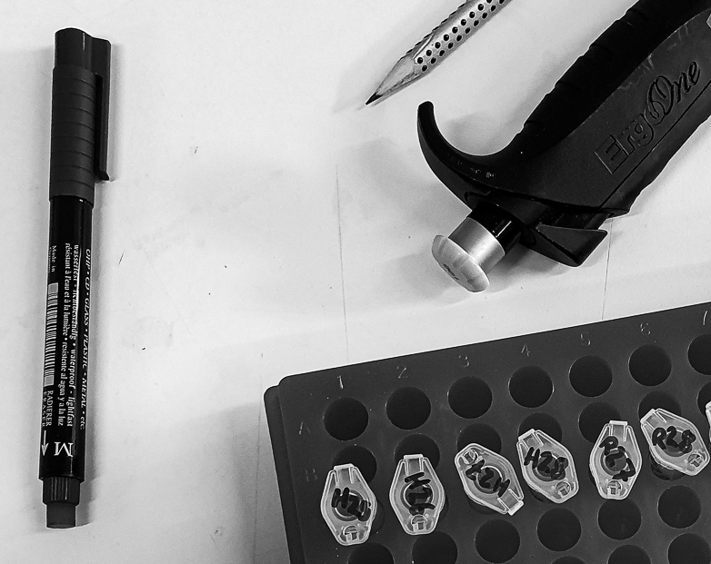 A marker pen,pencil, pipette and sample microcentrifuge tubes on a lab bench.